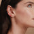 Puces d'oreilles 